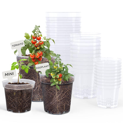 homenote 3/4/5/6.7 Inch Clear PP Nursery Pots with Drainage Holes (36 Pcs)