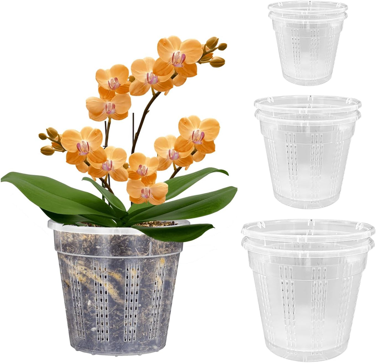 Orchid Pot, 2 Each of 4.3",5.5",6.1" Orchid Pots with Holes, Orchid Pots for Repotting, Plastic Orchid Planter for Indoor Outdoor Plants (2 Each of 4.3",5.5",6.1")
