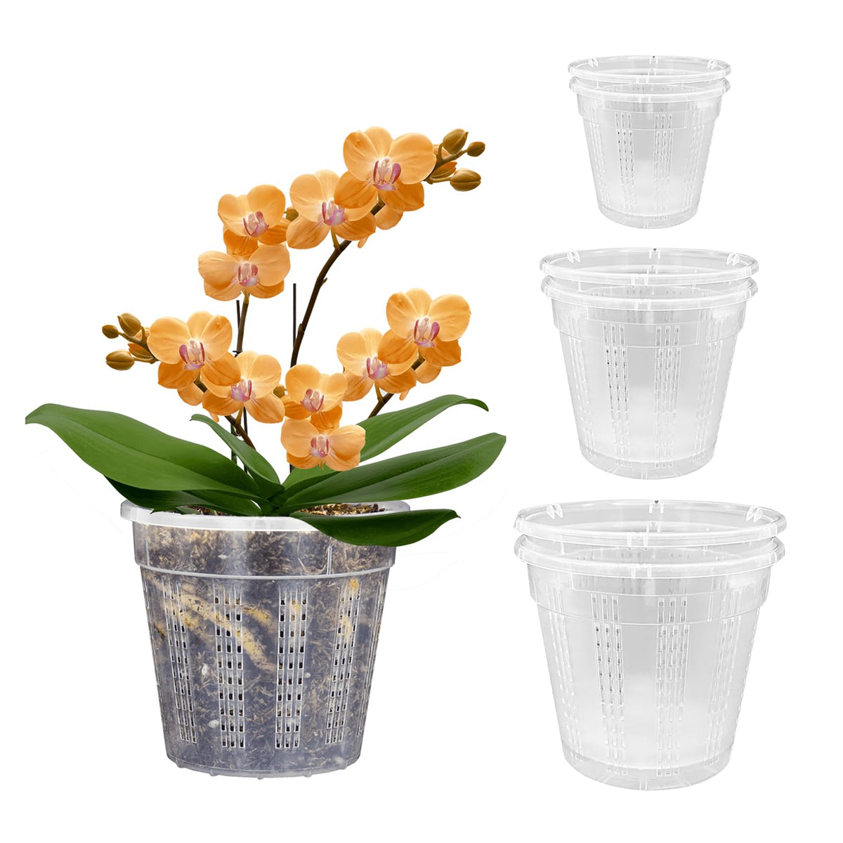 Orchid Pot, 2 Each of 4.3",5.5",6.1" Orchid Pots with Holes, Orchid Pots for Repotting, Plastic Orchid Planter for Indoor Outdoor Plants (2 Each of 4.3",5.5",6.1")