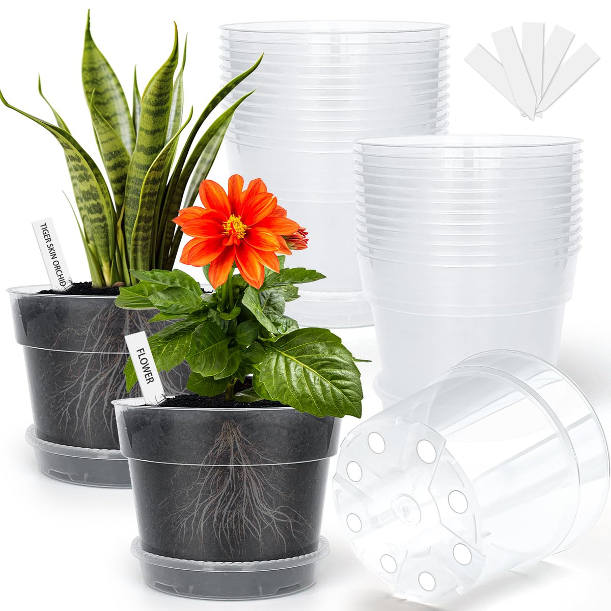 9 Pack 8/7/6 Inch Clear Nursery Pots for Plants with Saucer, Transparent Plastic Plant Pots with Drainage Holes, Sturdy Seedling Starter Pot, Garden Planter Pot for Succulents Flowers Herb Vegetables