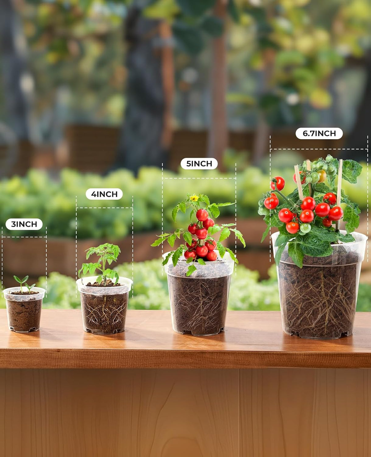 homenote 3/4/5/6.7 Inch Clear PP Nursery Pots with Drainage Holes (36 Pcs)