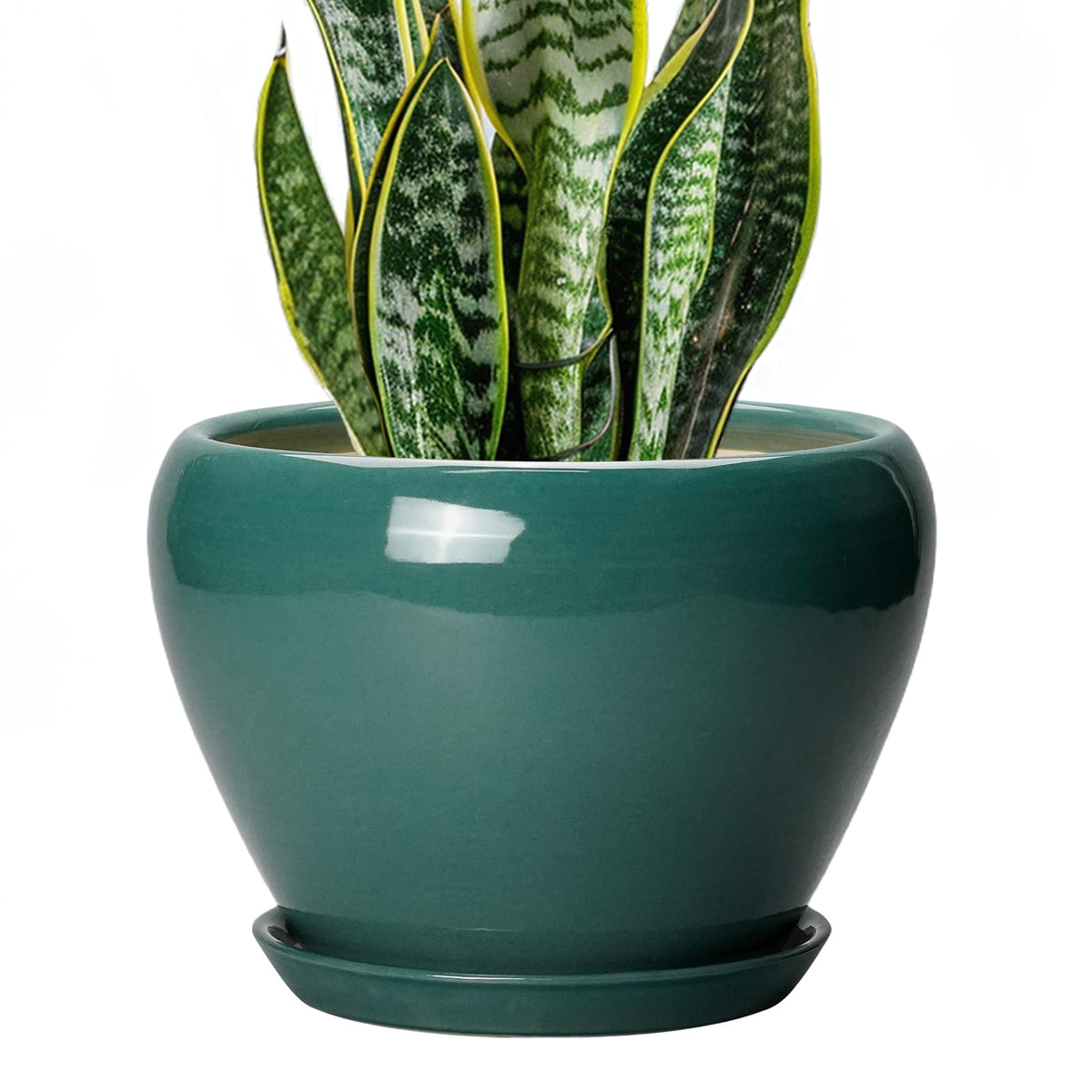 Ceramic Modern Glaze Succulent Planter Pot with Drainage Hole and Saucer 6 Inch Round Flower Plant Pot for Indoor Outdoor Herb Snake Plants