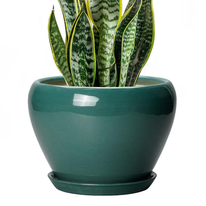 Ceramic Modern Glaze Succulent Planter Pot with Drainage Hole and Saucer 6 Inch Round Flower Plant Pot for Indoor Outdoor Herb Snake Plants