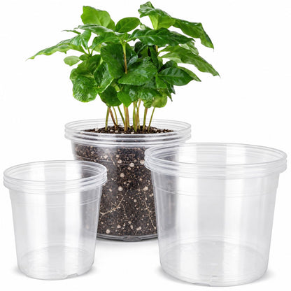 6/8/10 Inch Clear Nursery Pots with Drainage, Plastic Pots for Plants