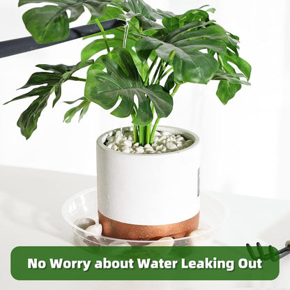 TRUEDAYS 20 Pack Plant Saucers (6 inch / 8inch / 10inch / 12inch) Clear Plant Saucers Flower Pot Tray Excellent for Indoor & Outdoor Plants