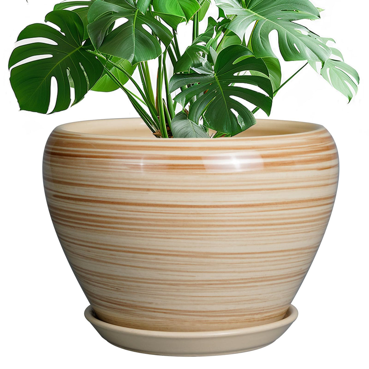 Ceramic Modern Glaze Succulent Planter Pot with Drainage Hole and Saucer 6 Inch Round Flower Plant Pot for Indoor Outdoor Herb Snake Plants