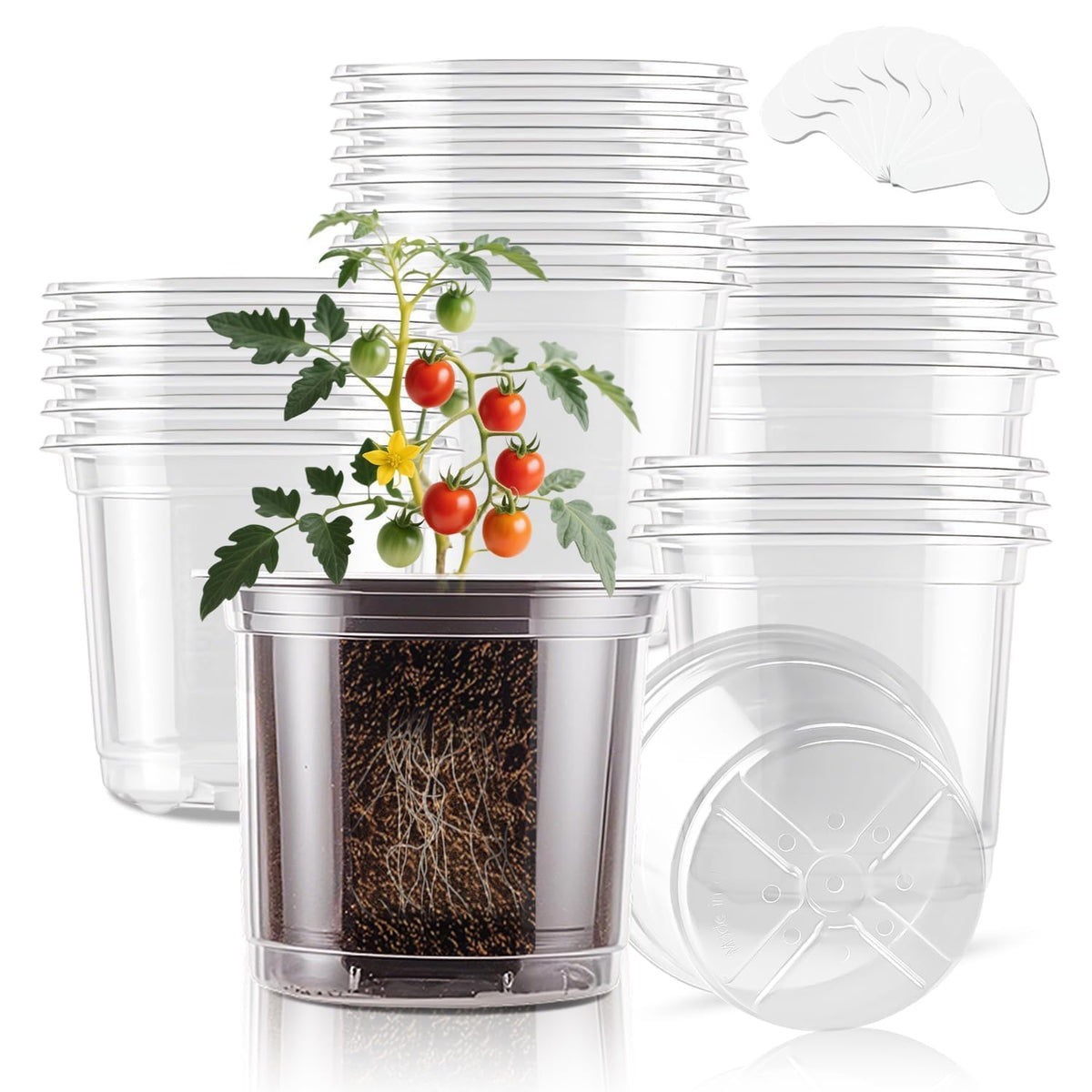 SupKing Clear Nursery Pots 5/4/3.5 Inch Plastic Seed Starter Plant Flower Pot with Drainage Holes for Transplanting Succulents Cuttings Seedlings 15 Labels (12Pcs)