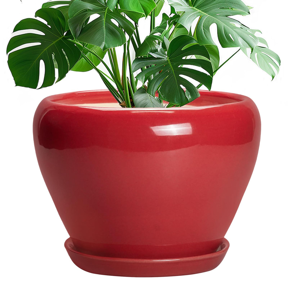 Ceramic Modern Glaze Succulent Planter Pot with Drainage Hole and Saucer 6 Inch Round Flower Plant Pot for Indoor Outdoor Herb Snake Plants