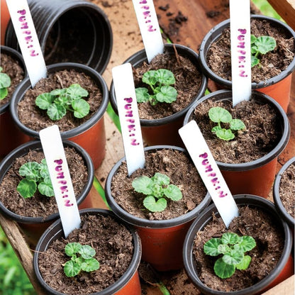 LWWTBS 4" Plastic Plant Nursery Pots 100 Pcs with 100 Labels