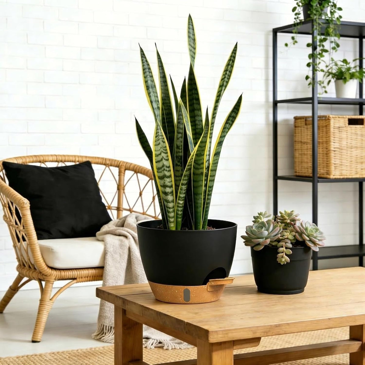 Self Watering Pots with Drainage Holes, 3 Pack 12/10/8 Inch Plant Pots with Water Level Indicator Deep Reservoir, Large Plastic Planter for Indoor Outdoor Plants - Black Brown