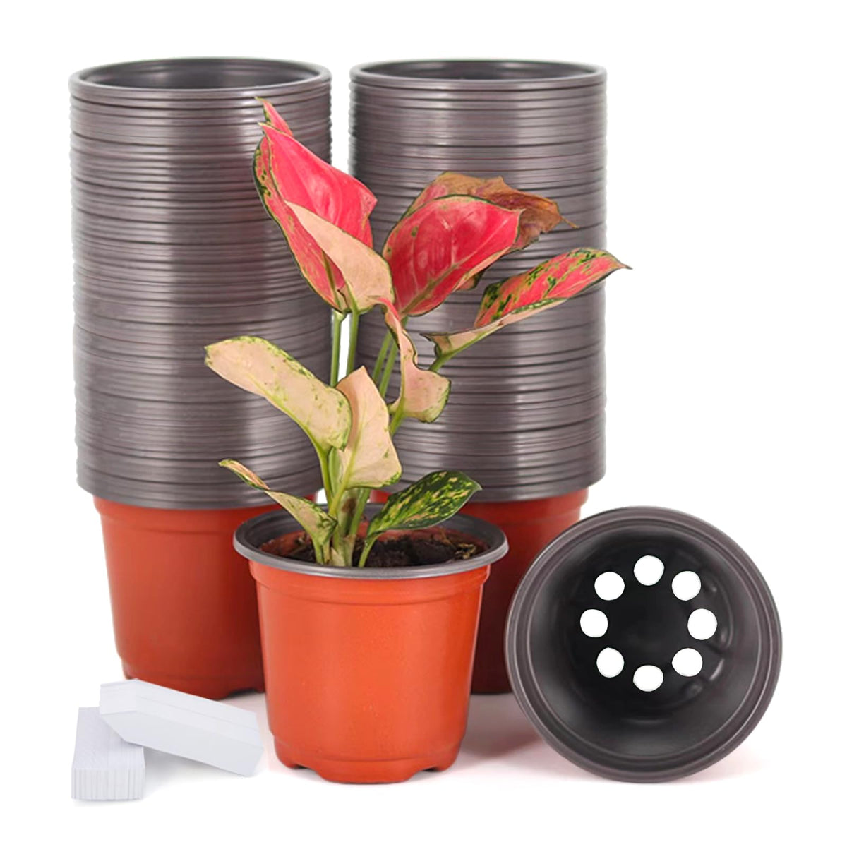 JERIA 100-Pack 6 Inch Plastic Nursery Pots Come with 100 Pcs Labels, Seedling Flower Plant Container and Seed Starting Pots