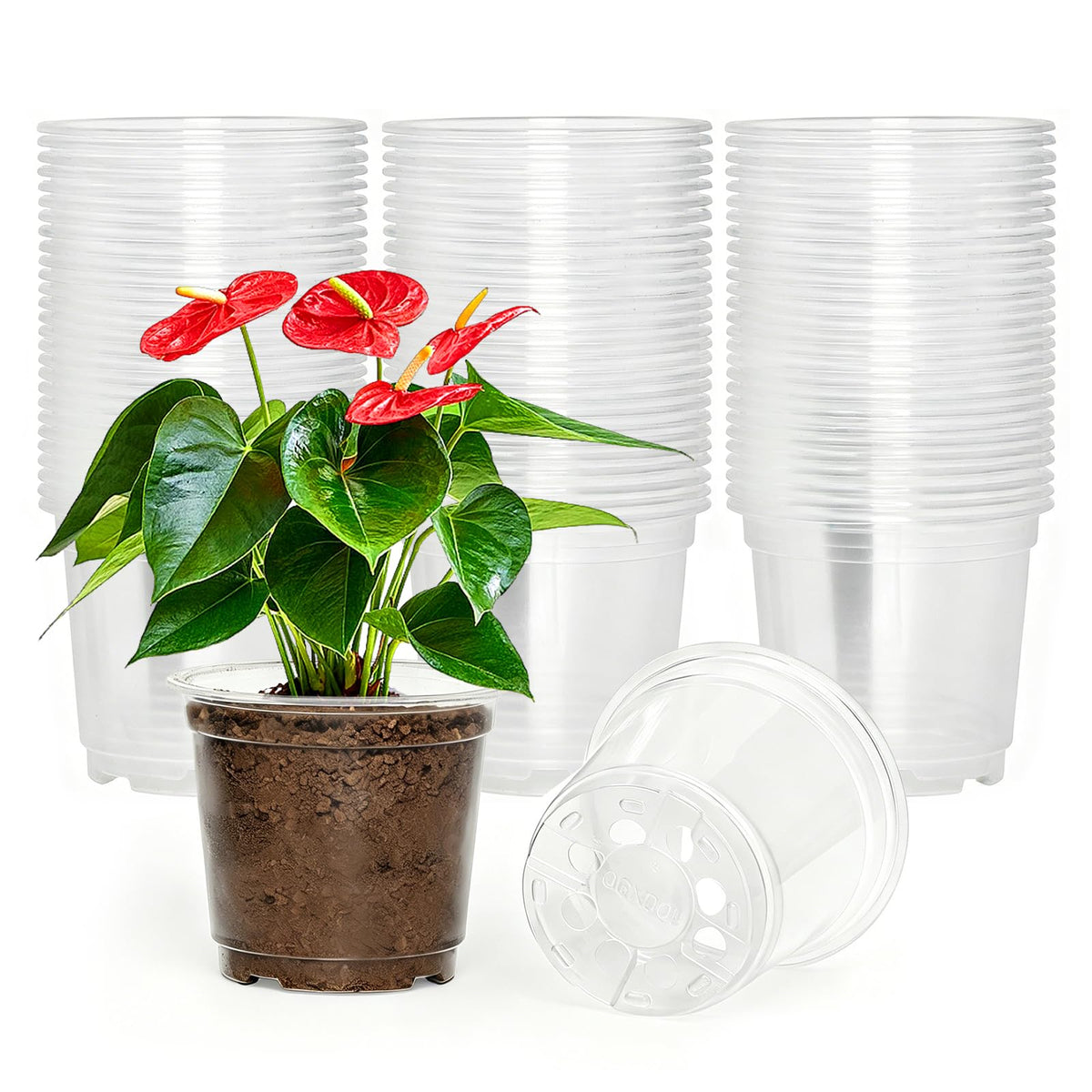 JNYONG 60 Pack 3.5/4/5/6/7 Inch Clear Nursery Pots with Drainage Hole