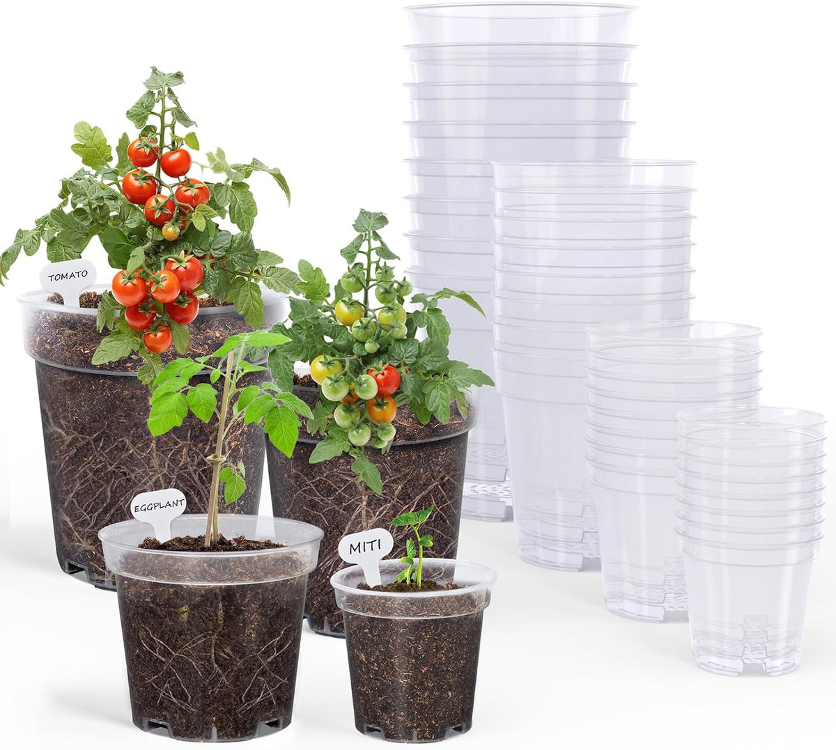homenote 3/4/5/6.7 Inch Clear PP Nursery Pots with Drainage Holes (36 Pcs)