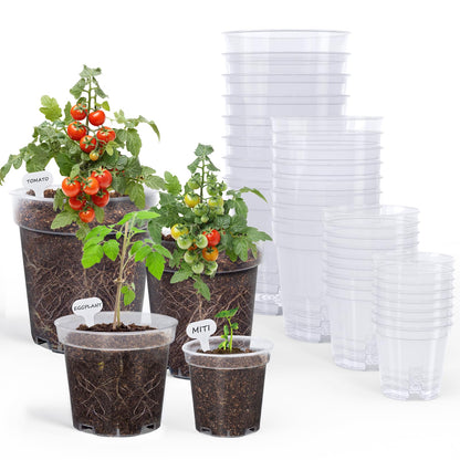 homenote 3/4/5/6.7 Inch Clear PP Nursery Pots with Drainage Holes (36 Pcs)
