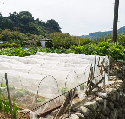 Garden Netting Pest Barrier: 8'x10' Fine Bug Netting