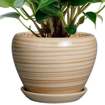 Ceramic Modern Glaze Succulent Planter Pot with Drainage Hole and Saucer 6 Inch Round Flower Plant Pot for Indoor Outdoor Herb Snake Plants