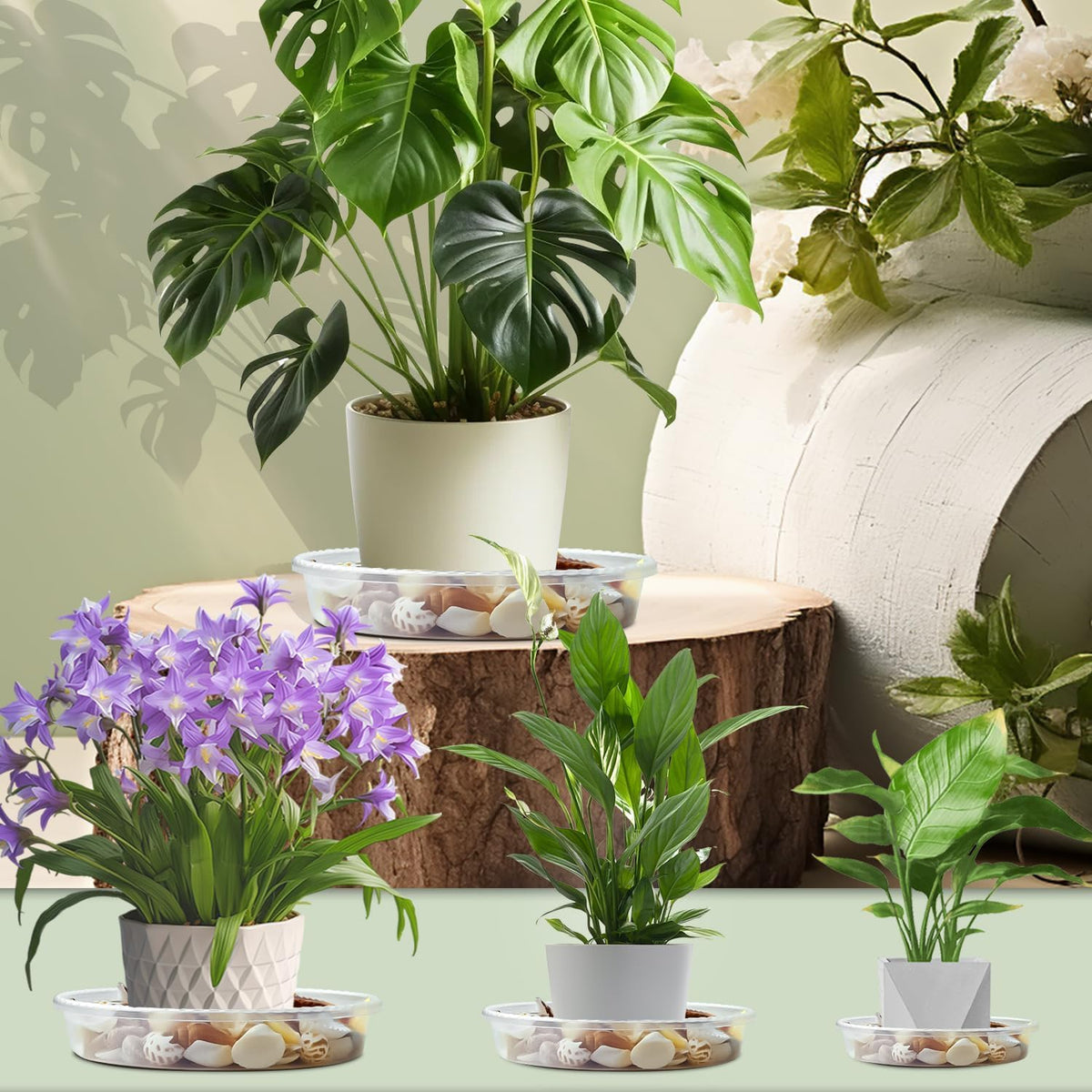 SupKing 9 Pack Plant Saucers (6inch /8inch /10inch), Heavy Sturdy Plant Trays Pot Tray for Indoor Clear Plastic Flower Pot Saucers Thicker Plant Water Drip Trays for pots- Clear