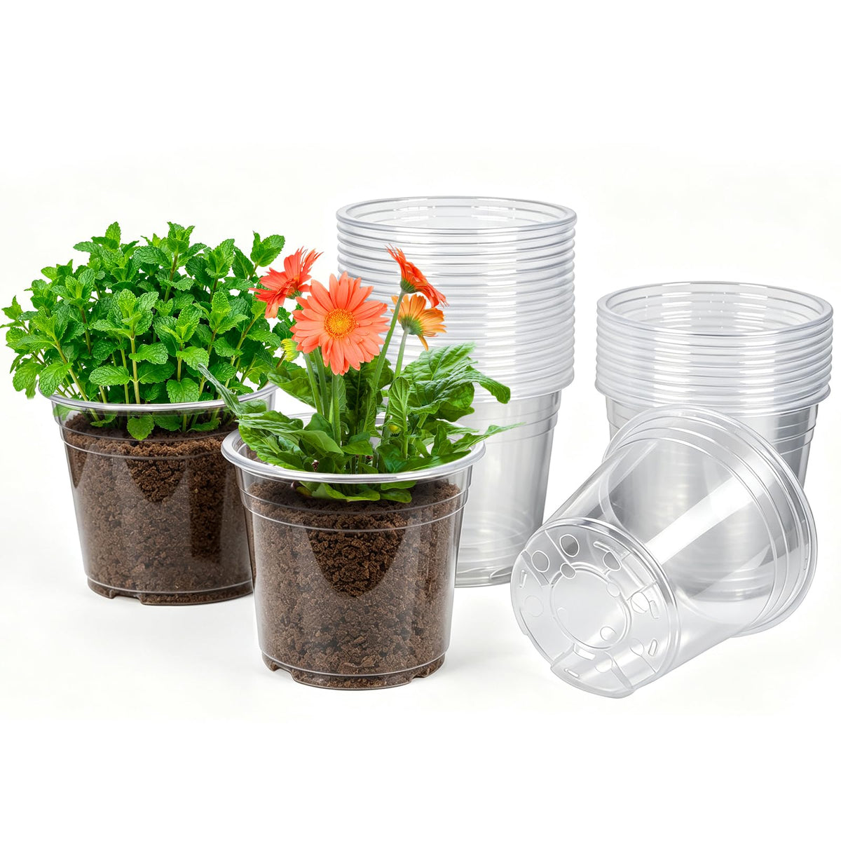 JERIA 30 Pack 6/5/4Inch Clear Nursery Pots with Drainage Holes, Clear Plant Pot for Planting, Transparent Plastic Plant Pots,Durable Seed Starting Pot for Succulents
