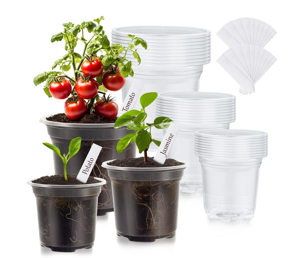 30 Pack Clear Nursery Plant Pots, 3.5/4/5 In with Drainage Holes, 20 Labels