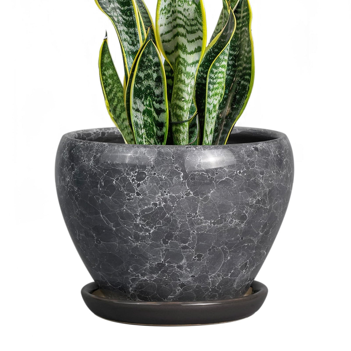 Ceramic Modern Glaze Succulent Planter Pot with Drainage Hole and Saucer 6 Inch Round Flower Plant Pot for Indoor Outdoor Herb Snake Plants