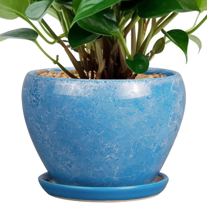 Ceramic Modern Glaze Succulent Planter Pot with Drainage Hole and Saucer 6 Inch Round Flower Plant Pot for Indoor Outdoor Herb Snake Plants