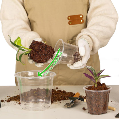 JNYONG 60 Pack 3.5/4/5/6/7 Inch Clear Nursery Pots with Drainage Hole