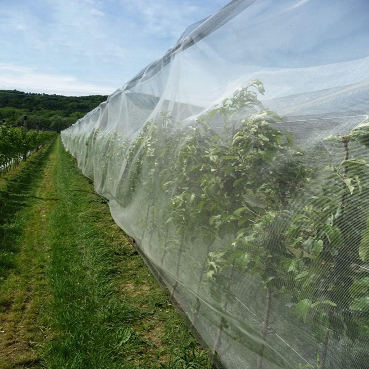 Garden Pest Barrier Netting, Thickened Mesh Net Bugs Out Plant Covers 10x33Ft Ultra Fine Protection Netting for Vegetable Plants Fruit Flowers Greenhouse Row Cover Raised Bed Insect Barrier Screen Net
