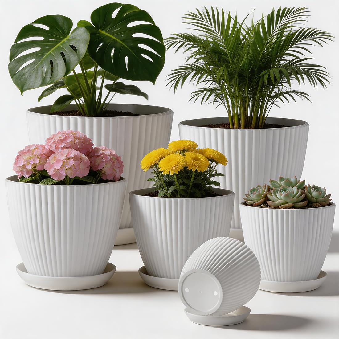 RooTrimmer 7.5 Inch Plastic Pots, 6 Pack with Drain Holes & Saucers