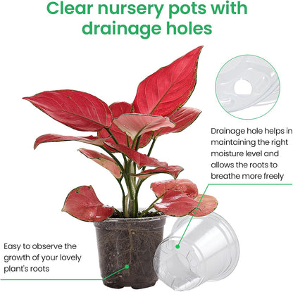 Bluepro Clear Nursery Pots with Drainage Holes, 3.5/4/5 Inch, 36-Pack