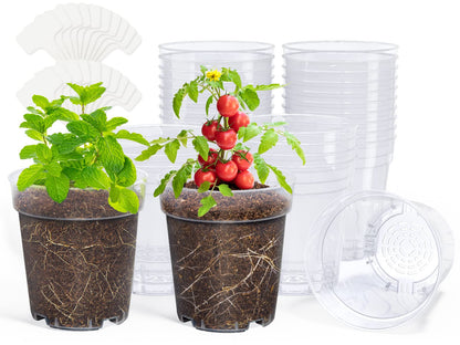 homenote 3/4/5/6.7 Inch Clear PP Nursery Pots with Drainage Holes (36 Pcs)