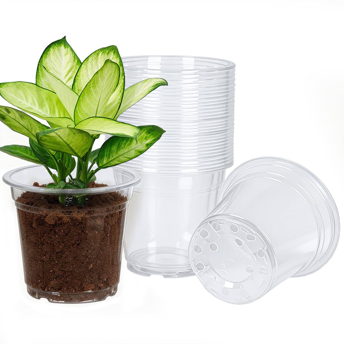 JERIA 30 Pack 6/5/4Inch Clear Nursery Pots with Drainage Holes, Clear Plant Pot for Planting, Transparent Plastic Plant Pots,Durable Seed Starting Pot for Succulents