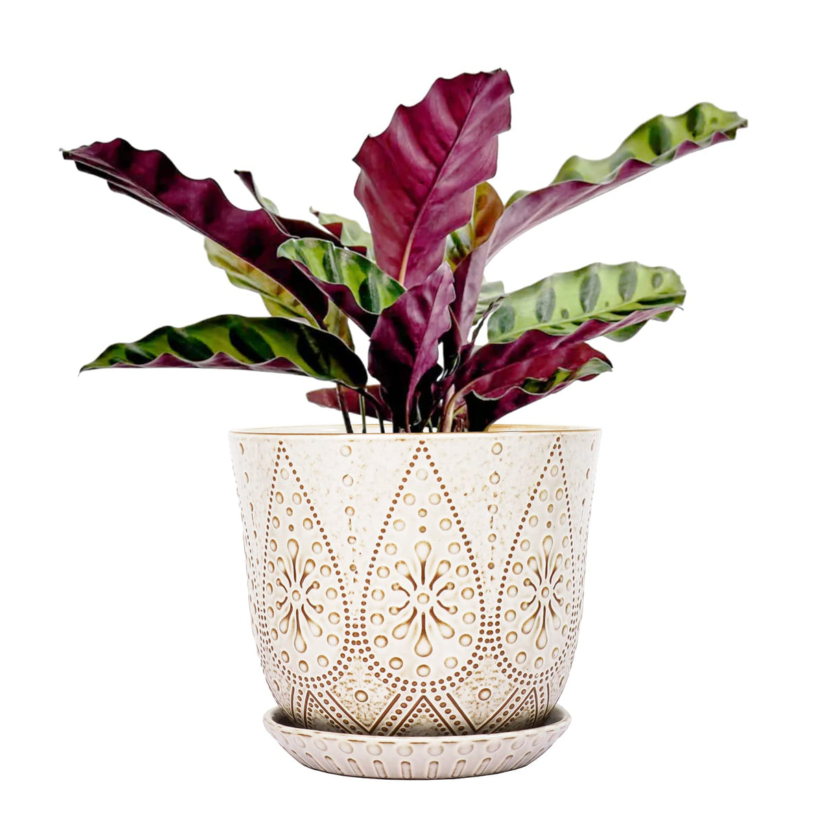 Gepege Ceramic Plant Pots, 6 Inch Indoor Planters with Drainage & Saucers
