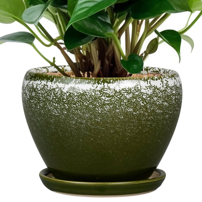 Ceramic Modern Glaze Succulent Planter Pot with Drainage Hole and Saucer 6 Inch Round Flower Plant Pot for Indoor Outdoor Herb Snake Plants