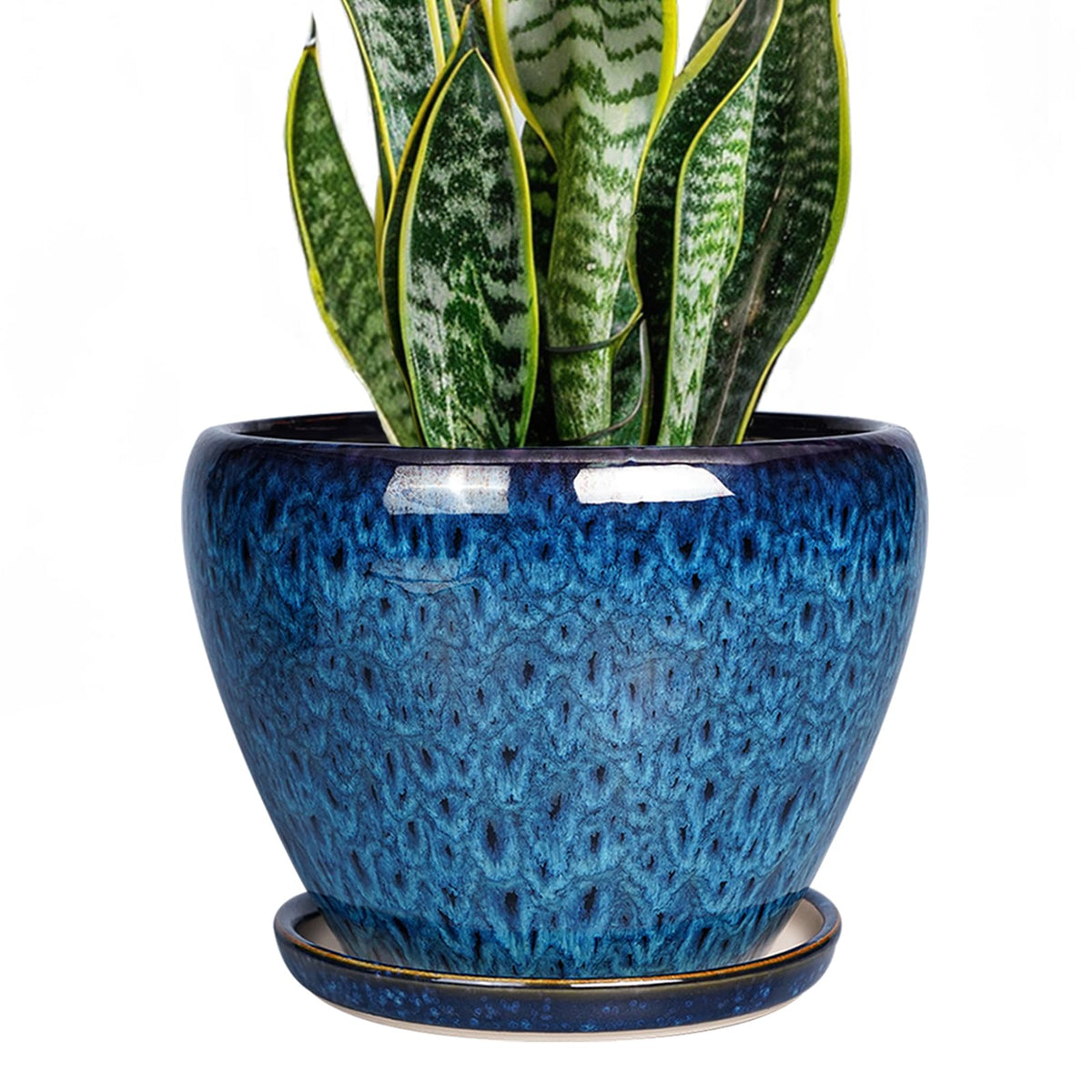 Ceramic Modern Glaze Succulent Planter Pot with Drainage Hole and Saucer 6 Inch Round Flower Plant Pot for Indoor Outdoor Herb Snake Plants
