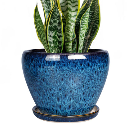 Ceramic Modern Glaze Succulent Planter Pot with Drainage Hole and Saucer 6 Inch Round Flower Plant Pot for Indoor Outdoor Herb Snake Plants