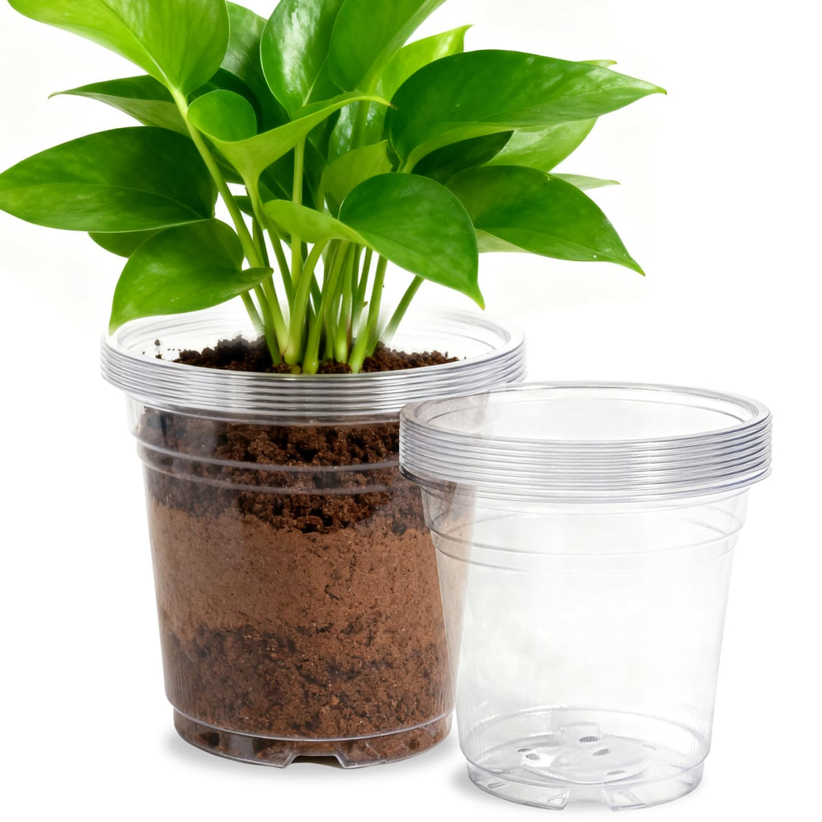 50 Pcs 2 Gallon Nursery Pots,Thickened Soft Plastic Plant Pots with Holes,Garden Flower Seedling Pot Container for Seedling,Cuttings,Transplanting (Black)