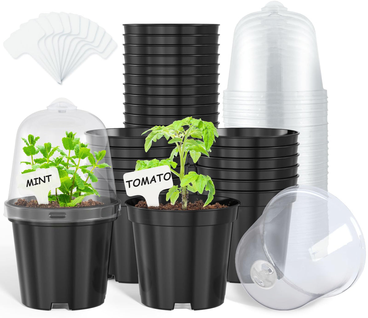 homenote 3/4/5/6.7 Inch Clear PP Nursery Pots with Drainage Holes (36 Pcs)