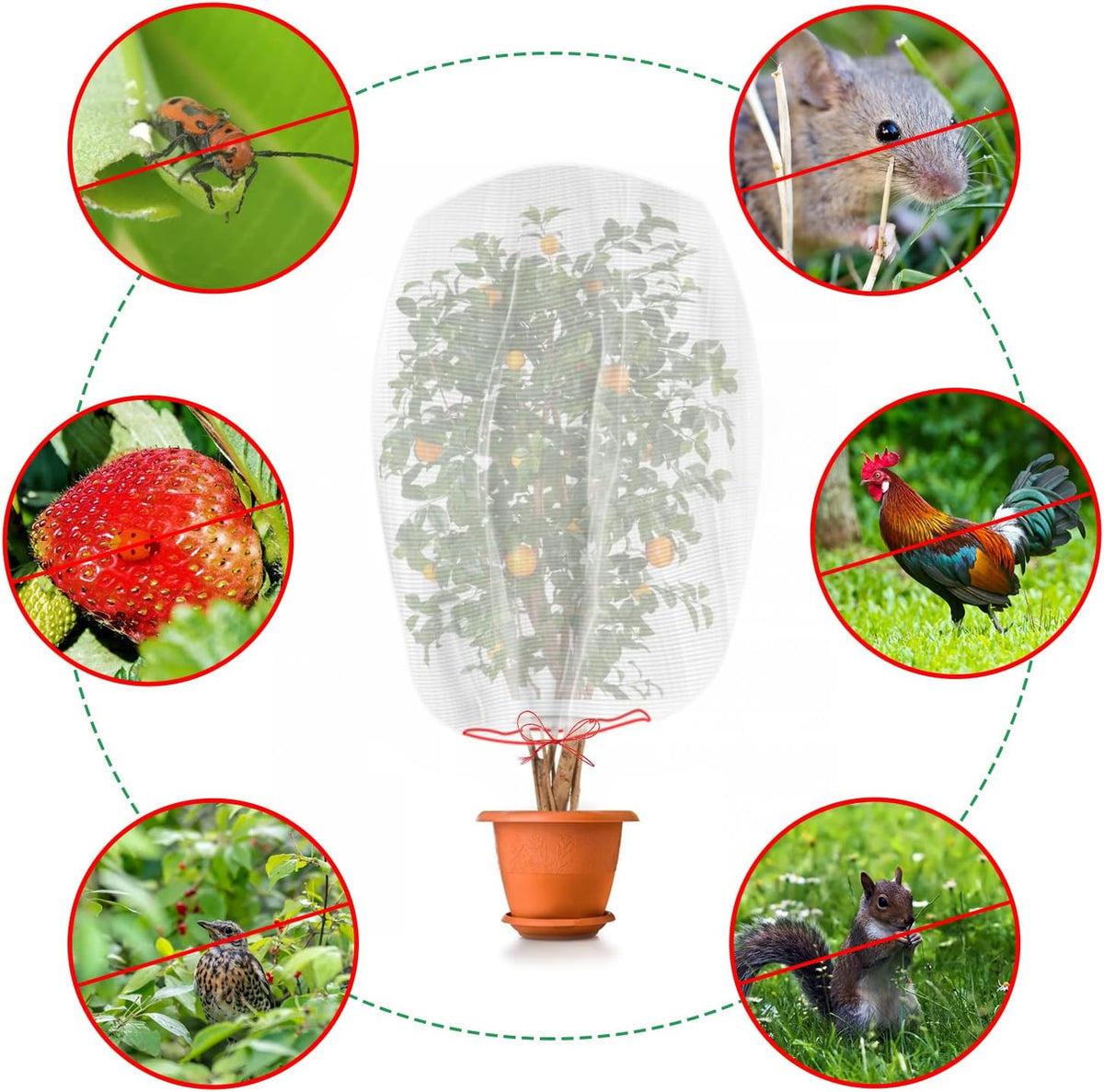 Kikhope 10 Pcs Garden Mesh Netting - 29"x21" Insect Bird Netting Pest Barrier Bags with Drawstring -Plant Fruit Protection Bag for Fruit Trees & Tomato Plants, Blocks Birds, Squirrels & Insects