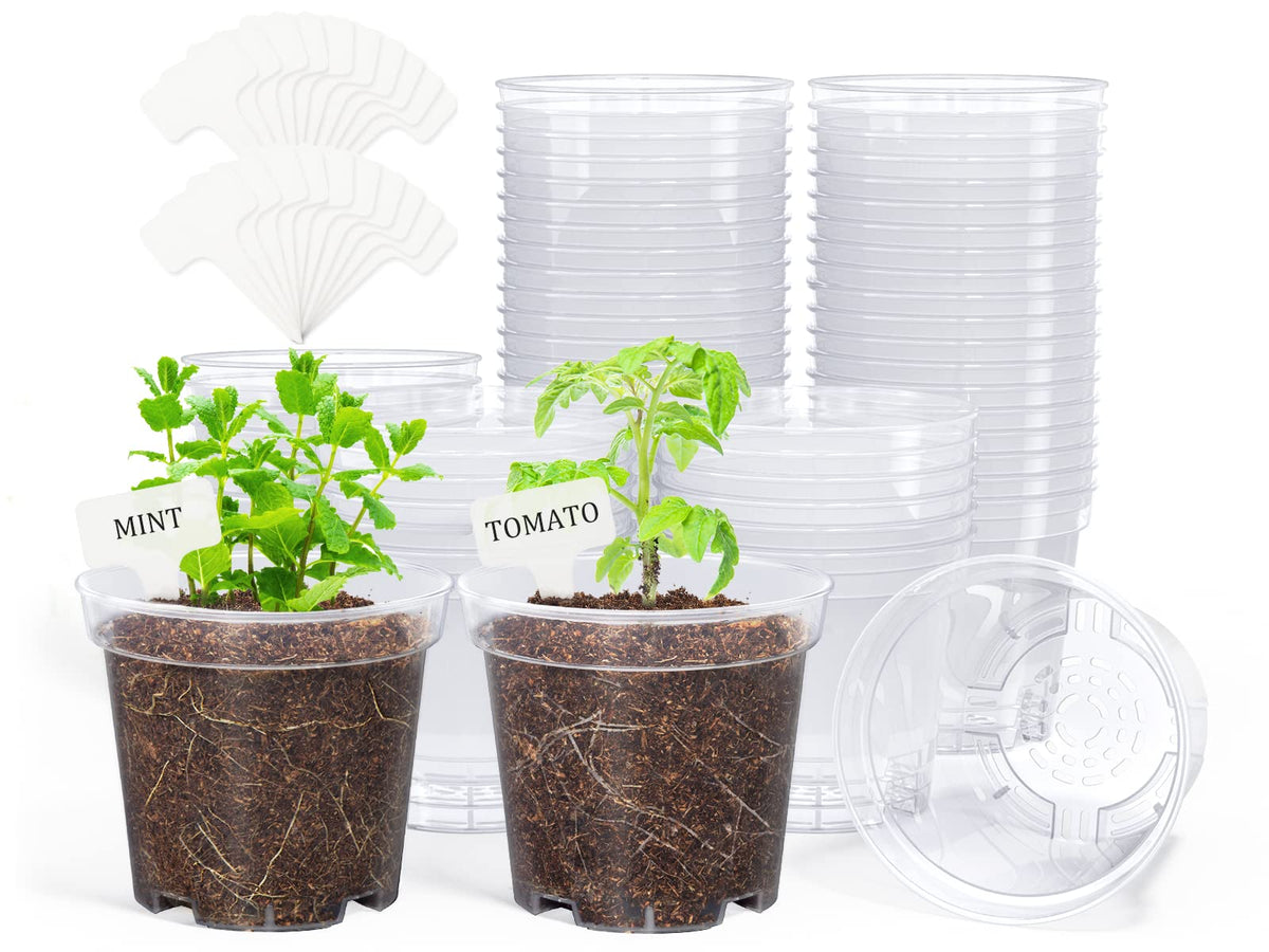 homenote 3/4/5/6.7 Inch Clear PP Nursery Pots with Drainage Holes (36 Pcs)