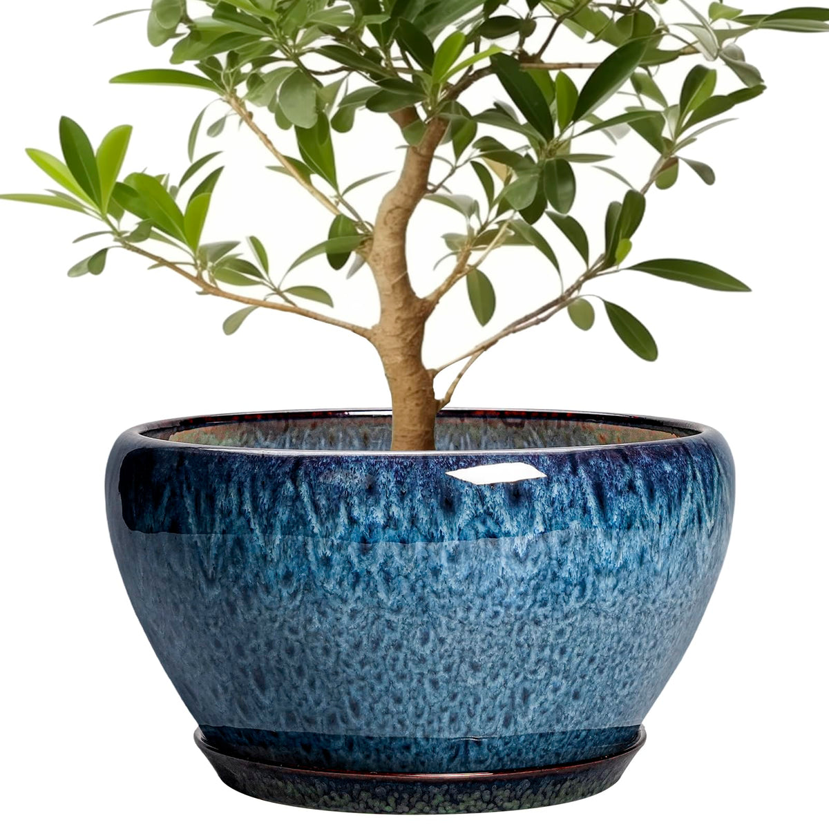 Ceramic Modern Glaze Succulent Planter Pot with Drainage Hole and Saucer 6 Inch Round Flower Plant Pot for Indoor Outdoor Herb Snake Plants