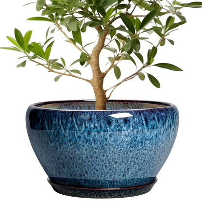 Ceramic Modern Glaze Succulent Planter Pot with Drainage Hole and Saucer 6 Inch Round Flower Plant Pot for Indoor Outdoor Herb Snake Plants