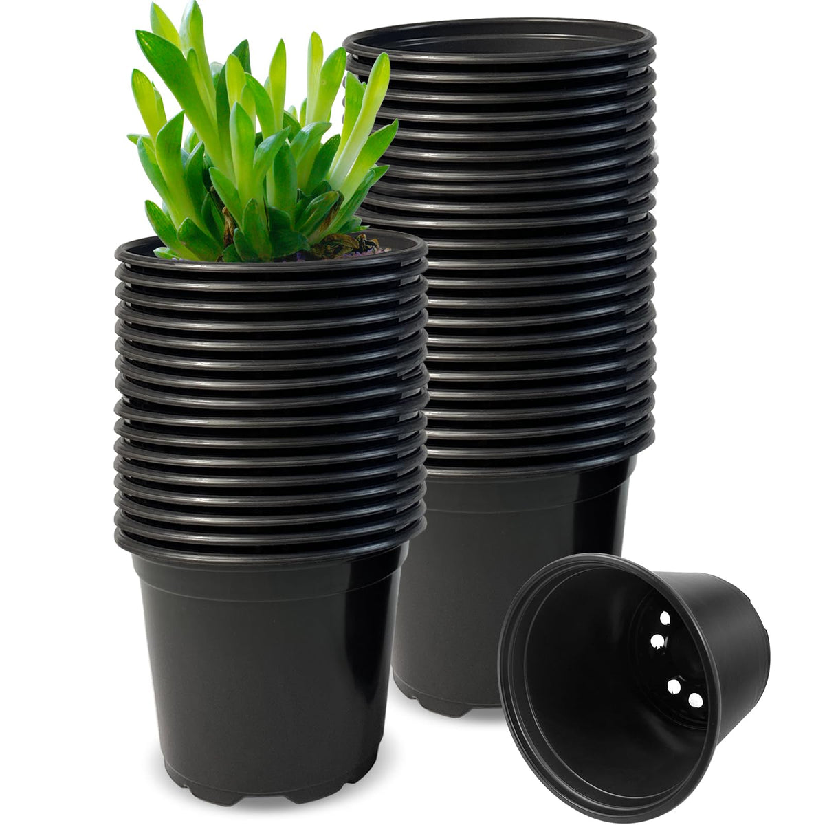 RAOOKIF 100 Pack Nursery Pots, 4 5 6 Inch Nursery Pot for Plants, Plastic Plant Pots with Drainage Holes, Garden Flower Pots for Transplanting, Succulents, Cuttings, Seedlings(4inch,100pcs)