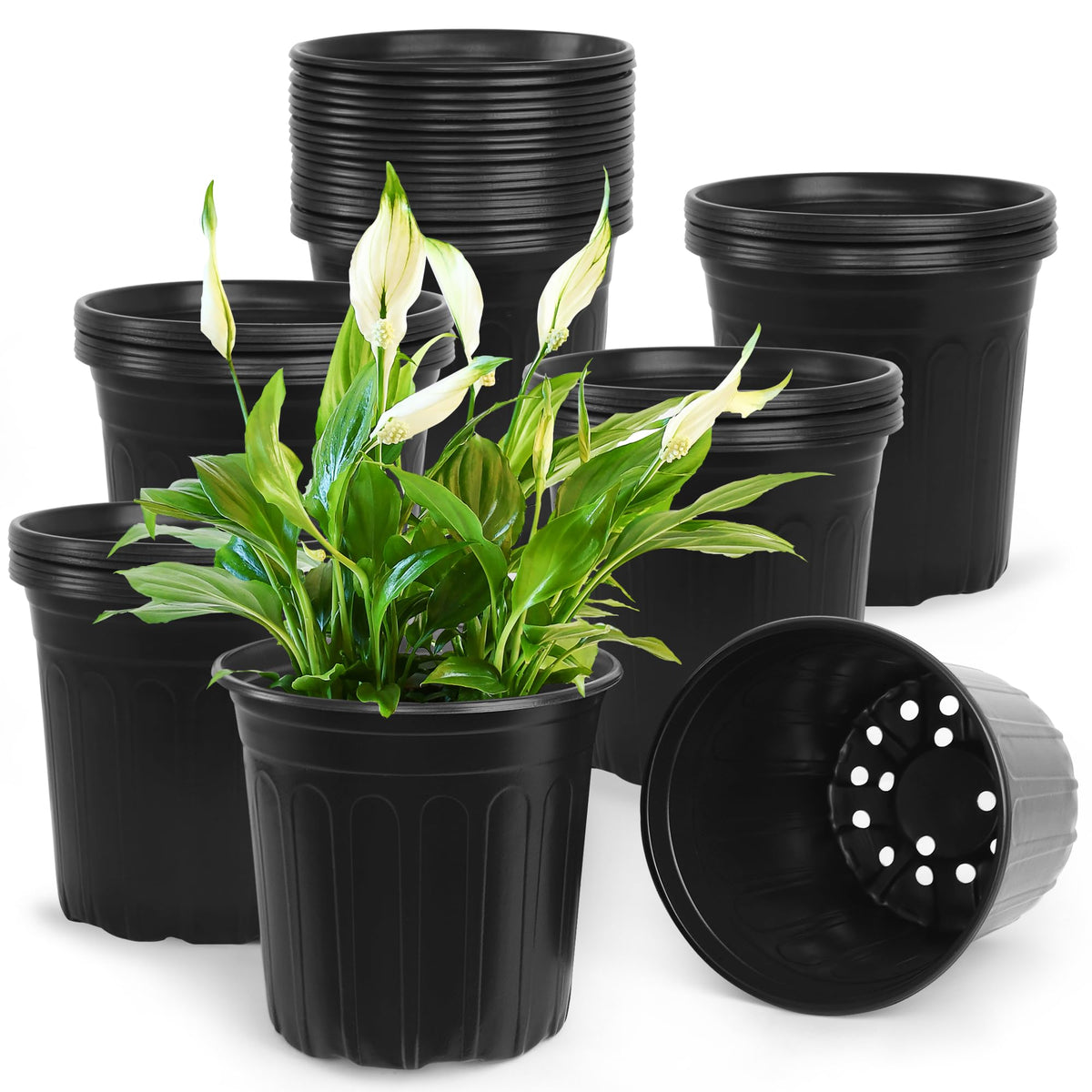 50 Pcs 2 Gallon Nursery Pots,Thickened Soft Plastic Plant Pots with Holes,Garden Flower Seedling Pot Container for Seedling,Cuttings,Transplanting (Black)