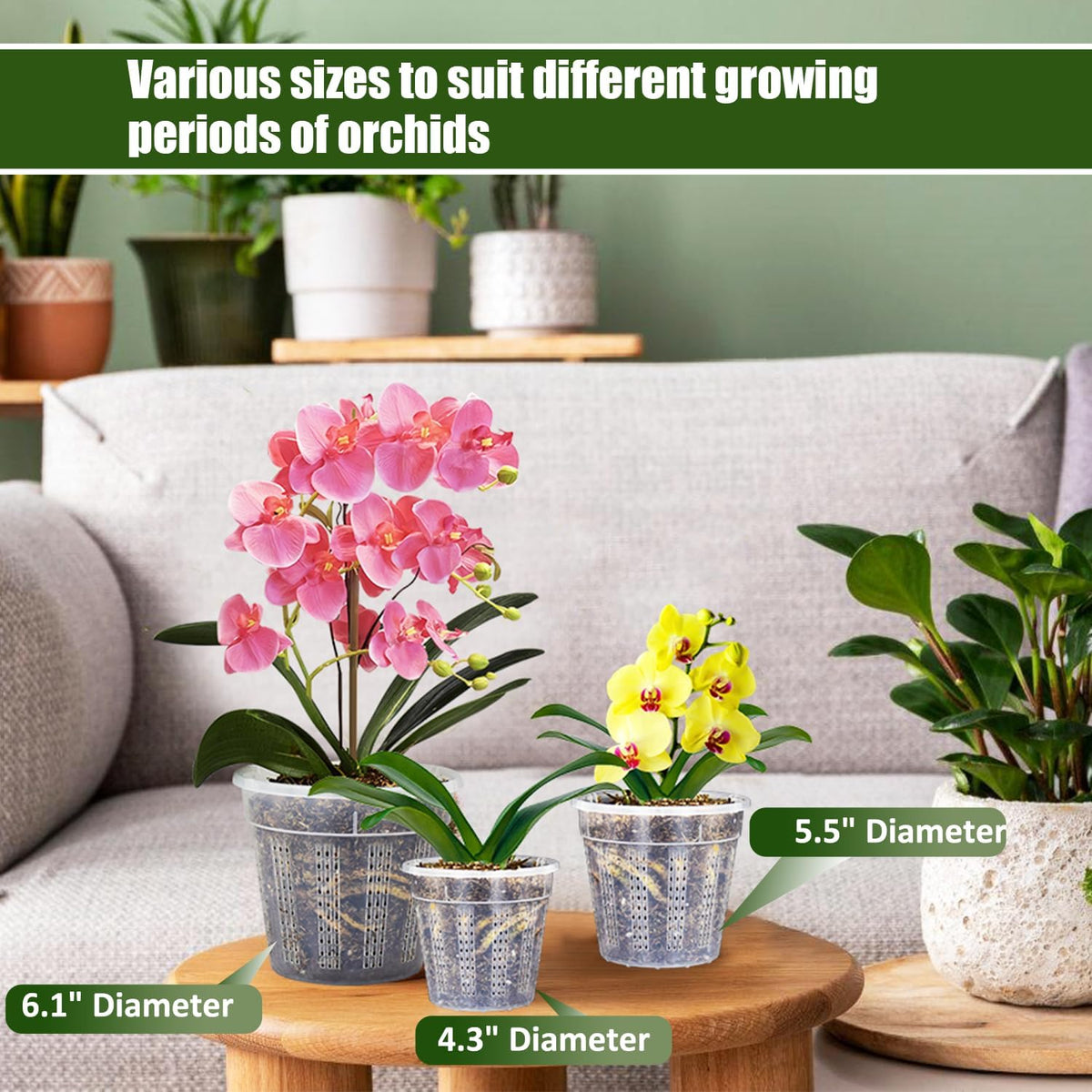 Orchid Pot, 2 Each of 4.3",5.5",6.1" Orchid Pots with Holes, Orchid Pots for Repotting, Plastic Orchid Planter for Indoor Outdoor Plants (2 Each of 4.3",5.5",6.1")