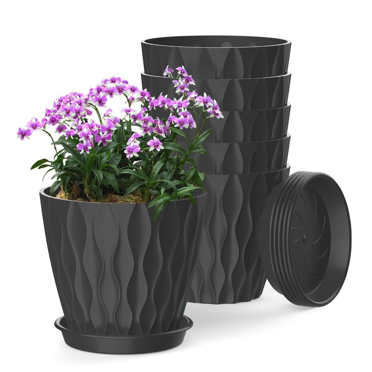4 Inch Plant Pots, 6 Pack Indoor Flower Pots, Planters with Drainage Holes and Trays for Orchids, Violets, Succulents, Herbs, and Other Plants,Corolful