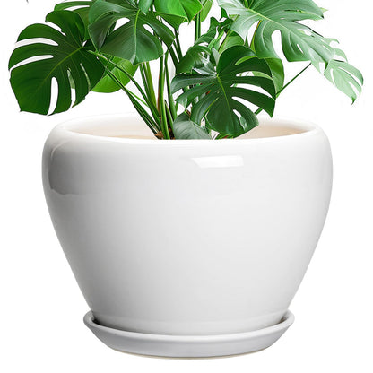 Ceramic Modern Glaze Succulent Planter Pot with Drainage Hole and Saucer 6 Inch Round Flower Plant Pot for Indoor Outdoor Herb Snake Plants