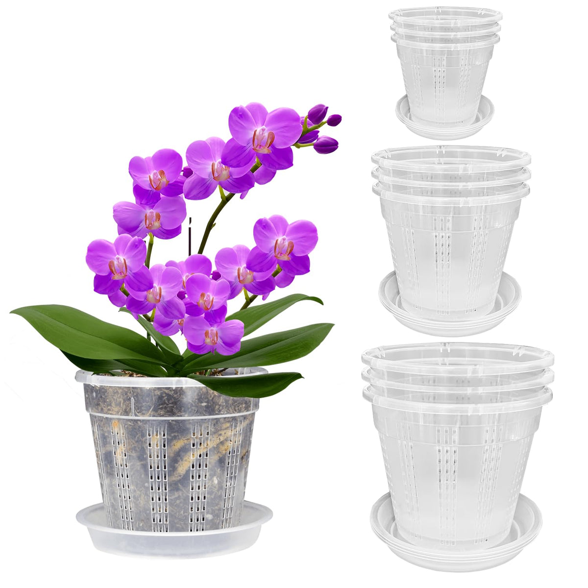 Orchid Pot, 2 Each of 4.3",5.5",6.1" Orchid Pots with Holes, Orchid Pots for Repotting, Plastic Orchid Planter for Indoor Outdoor Plants (2 Each of 4.3",5.5",6.1")