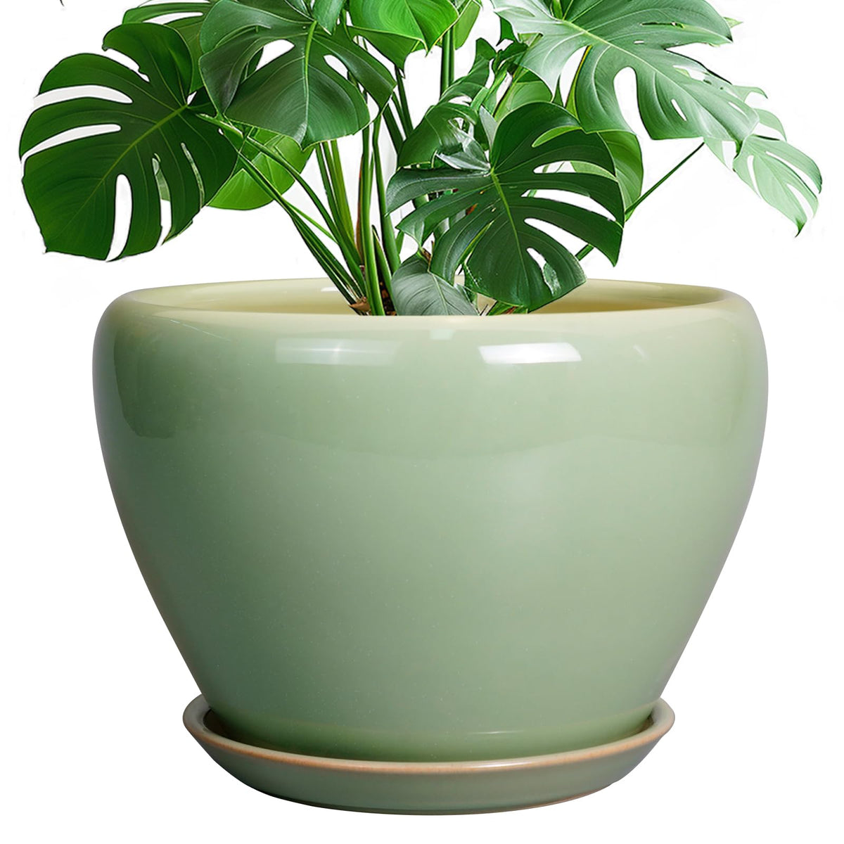 Ceramic Modern Glaze Succulent Planter Pot with Drainage Hole and Saucer 6 Inch Round Flower Plant Pot for Indoor Outdoor Herb Snake Plants