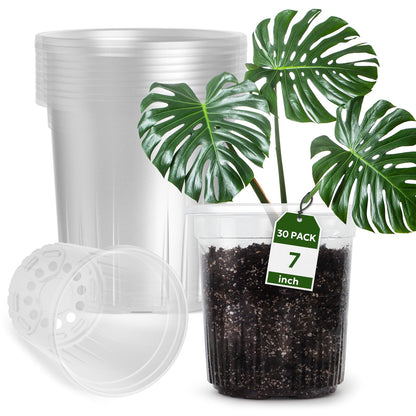 Bluepro Clear Nursery Pots with Drainage Holes, 3.5/4/5 Inch, 36-Pack