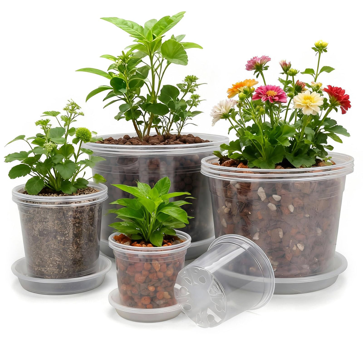 10/8/6/4 Inch Clear Nursery Pots with Drainage Holes and Saucers, 12 Pack Large Clear Pots for Plants Variety Pack, Plastic Nursery Pots for Succulents, Seedings, Herbs, Flowers, Vegetables